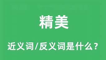 精美的近义词是什么_精美的近义词是什么词语