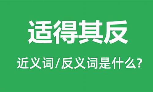 适得其反是什么意思_适得其反是什么意思解释词语